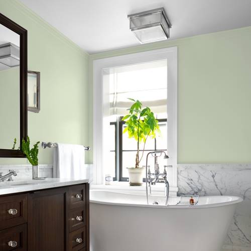 Sage green paint dulux discount